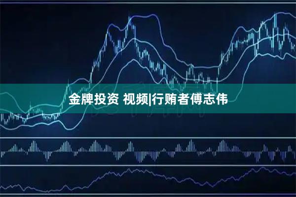 金牌投资 视频|行贿者傅志伟
