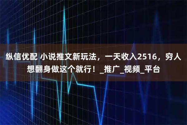 纵信优配 小说推文新玩法，一天收入2516，穷人想翻身做这个就行！_推广_视频_平台