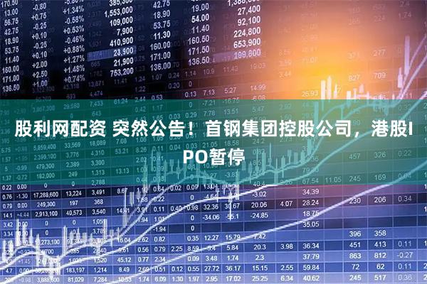 股利网配资 突然公告！首钢集团控股公司，港股IPO暂停