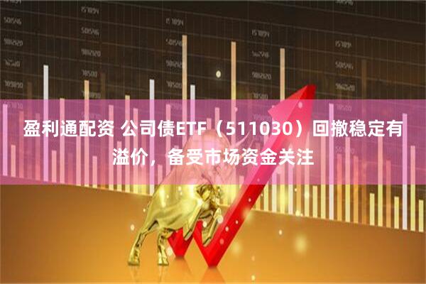 盈利通配资 公司债ETF（511030）回撤稳定有溢价，备受市场资金关注
