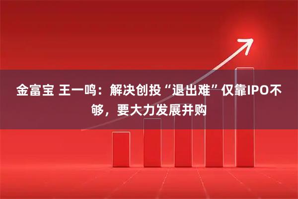 金富宝 王一鸣：解决创投“退出难”仅靠IPO不够，要大力发展并购